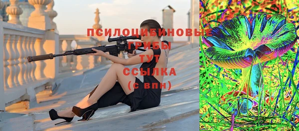 стафф Алексеевка