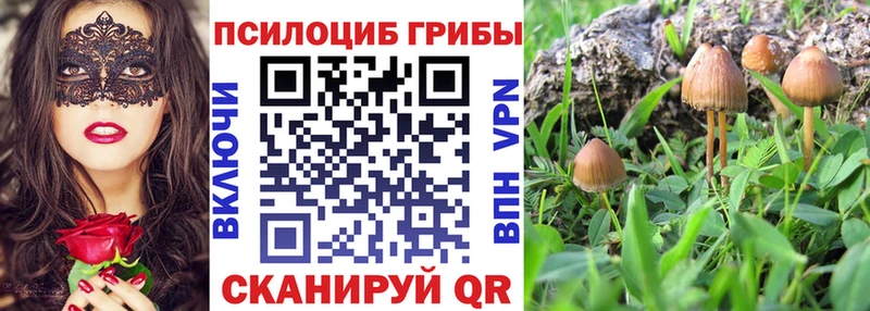 Псилоцибиновые грибы MAGIC MUSHROOMS  Ардон 
